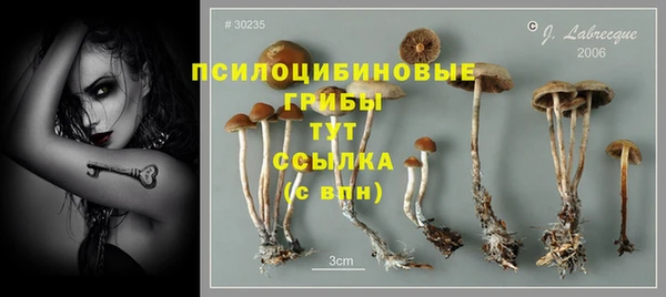 а пвп мука Бронницы
