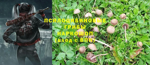 ГАЛЛЮЦИНОГЕННЫЕ ГРИБЫ Бугульма