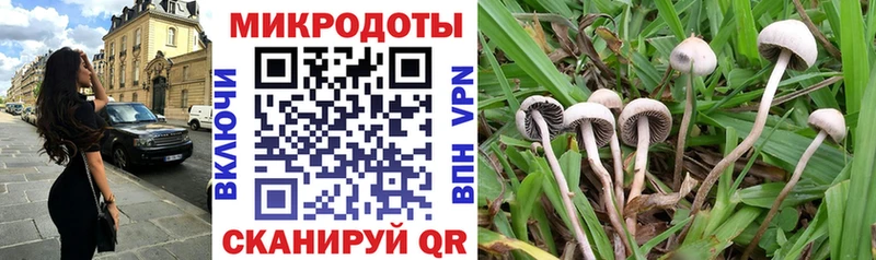 MEGA сайт Юрьев-Польский Галлюциногенные грибы мицелий